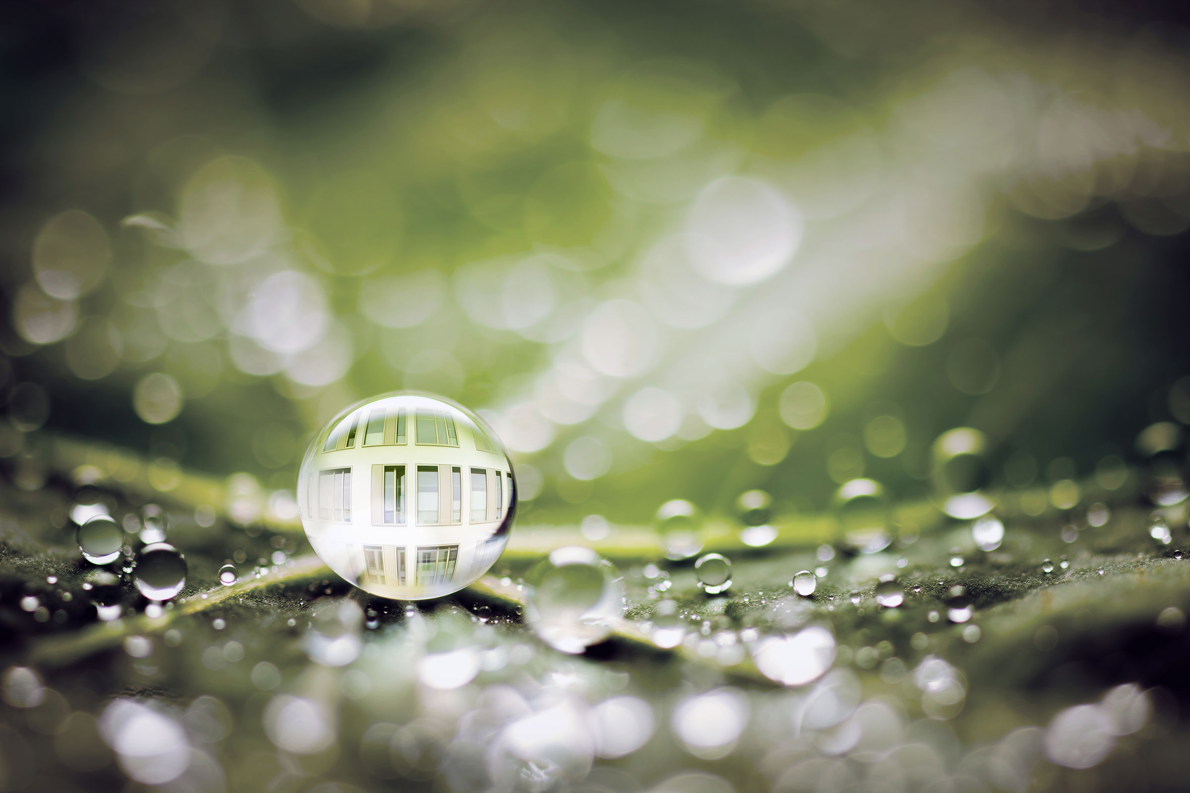 Bionica in Sto: gocce d'acqua su una foglia verde, vernice bionica per facciate