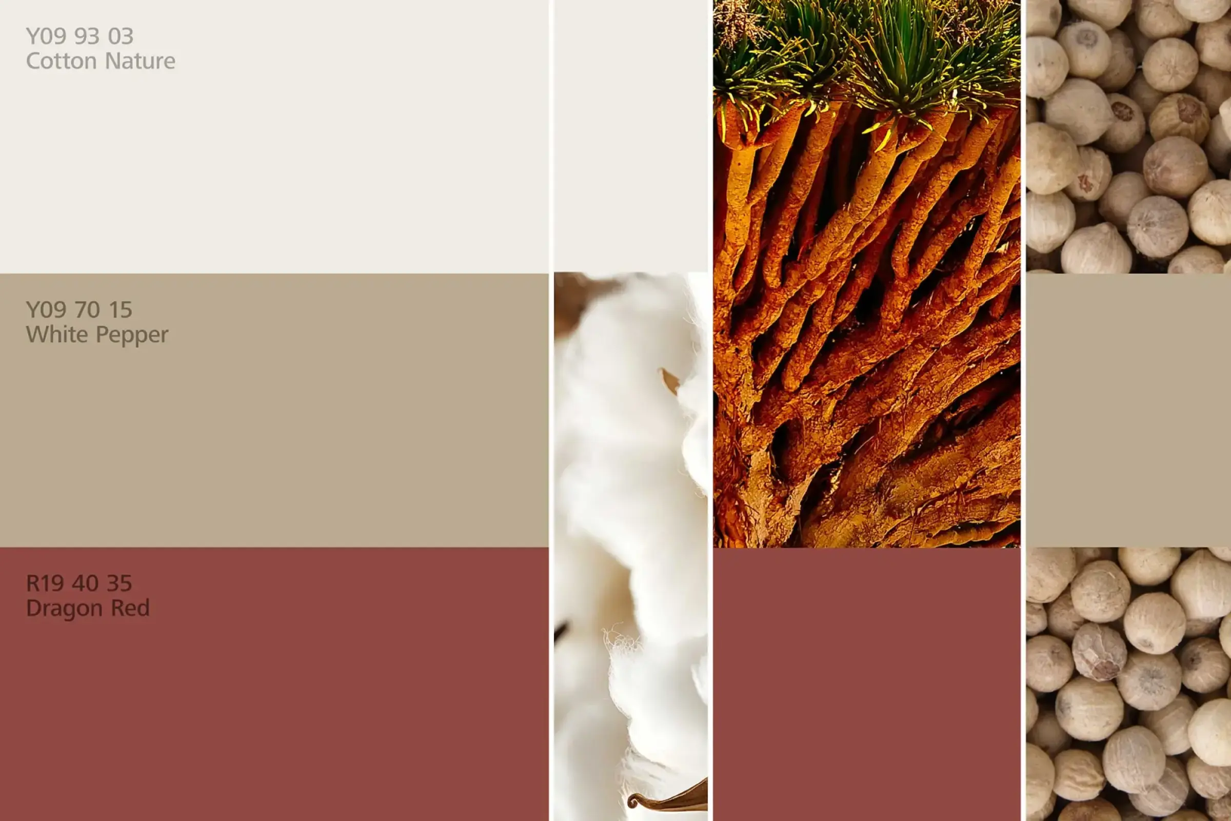 Interior colors 24plus