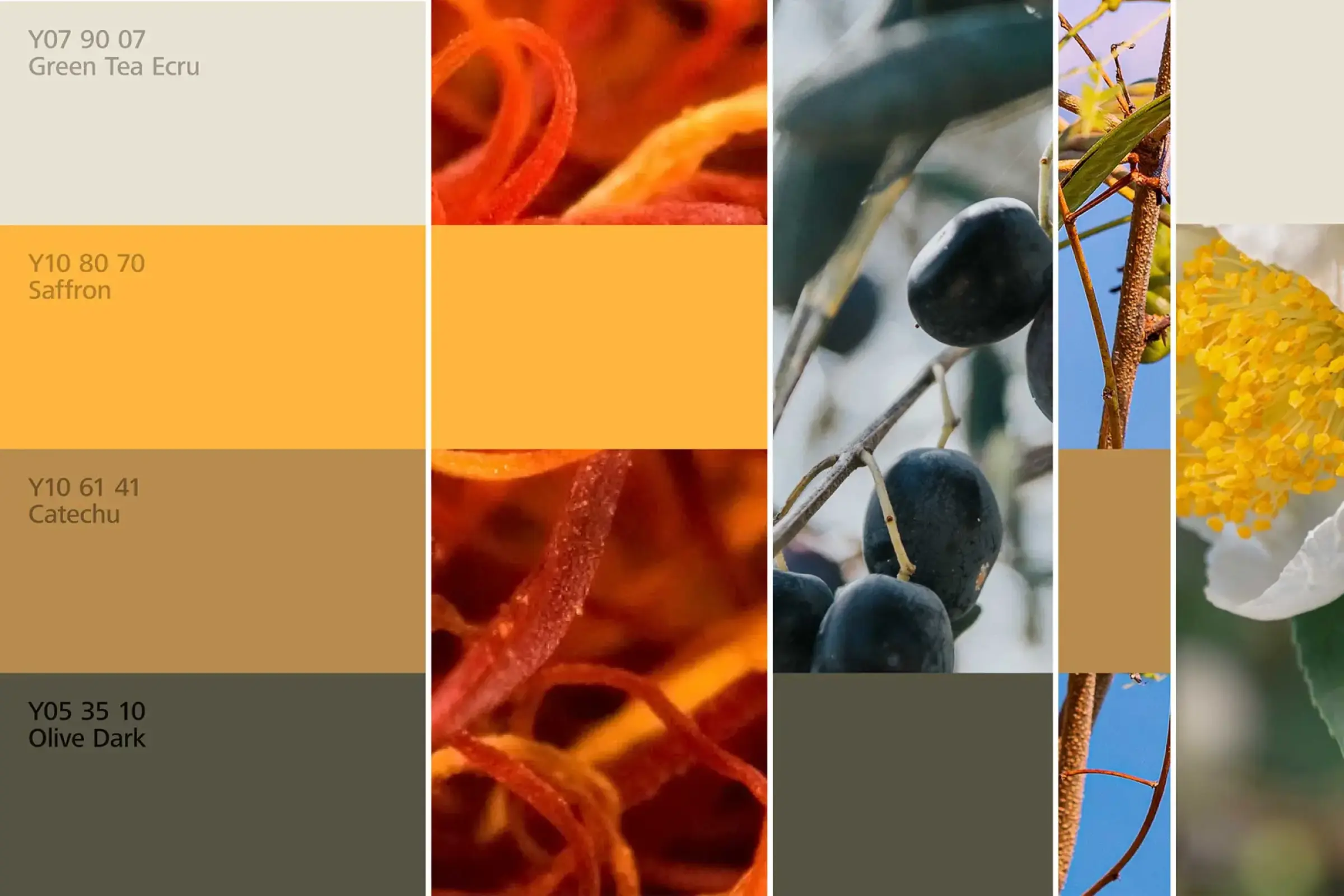 interior_colors_24plus_raumharmonie_klang_essen3_2400x1600px_w2000xh0