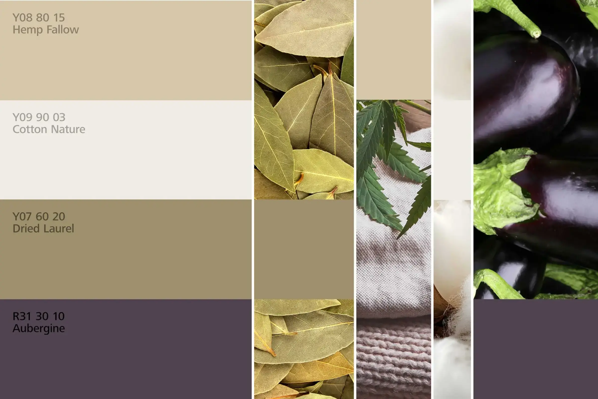 interior_colors_24plus_raumharmonie_klang_schlafen1_2400x1600px_w2000xh0