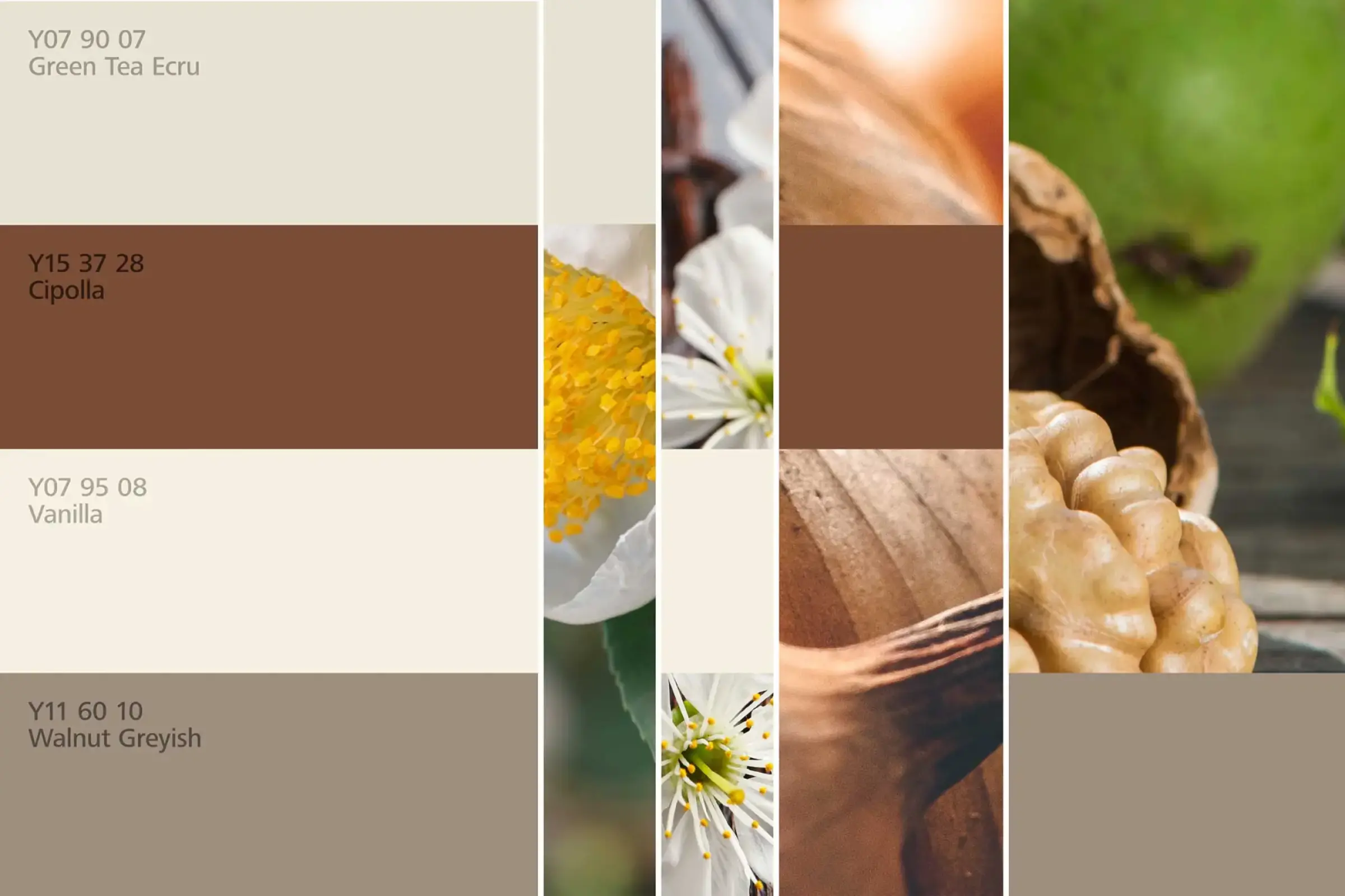 interior_colors_24plus_raumharmonie_klang_wohnen1_2400x1600px_w2000xh0_2